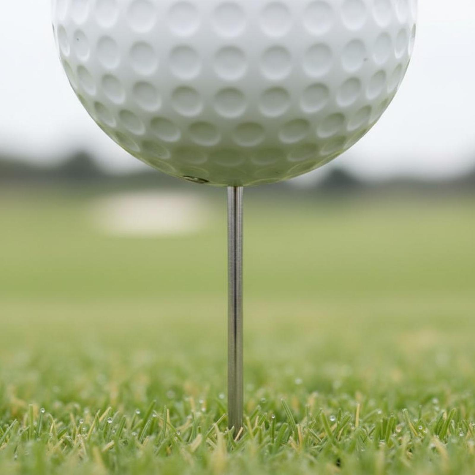 Marcatore a Forma di Pallina d - Golf Tees recensione e prezzo